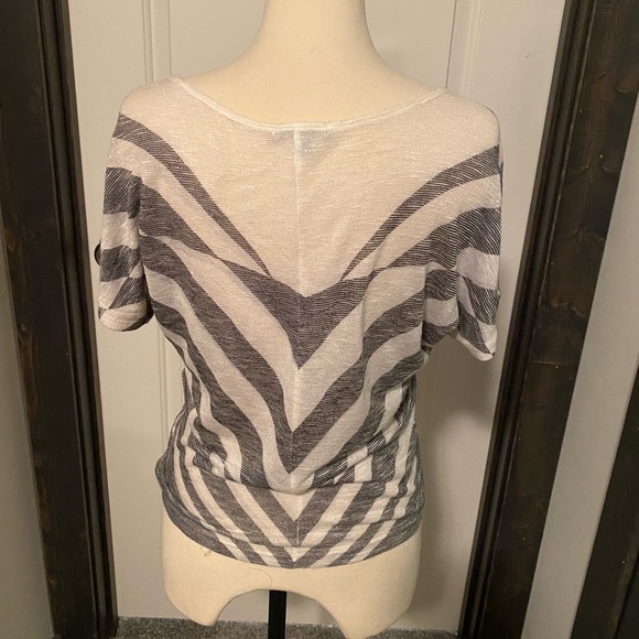 Comfy, sheer top. Easily switch from casual to dressy with pants pairing. - Picture 2 of 3